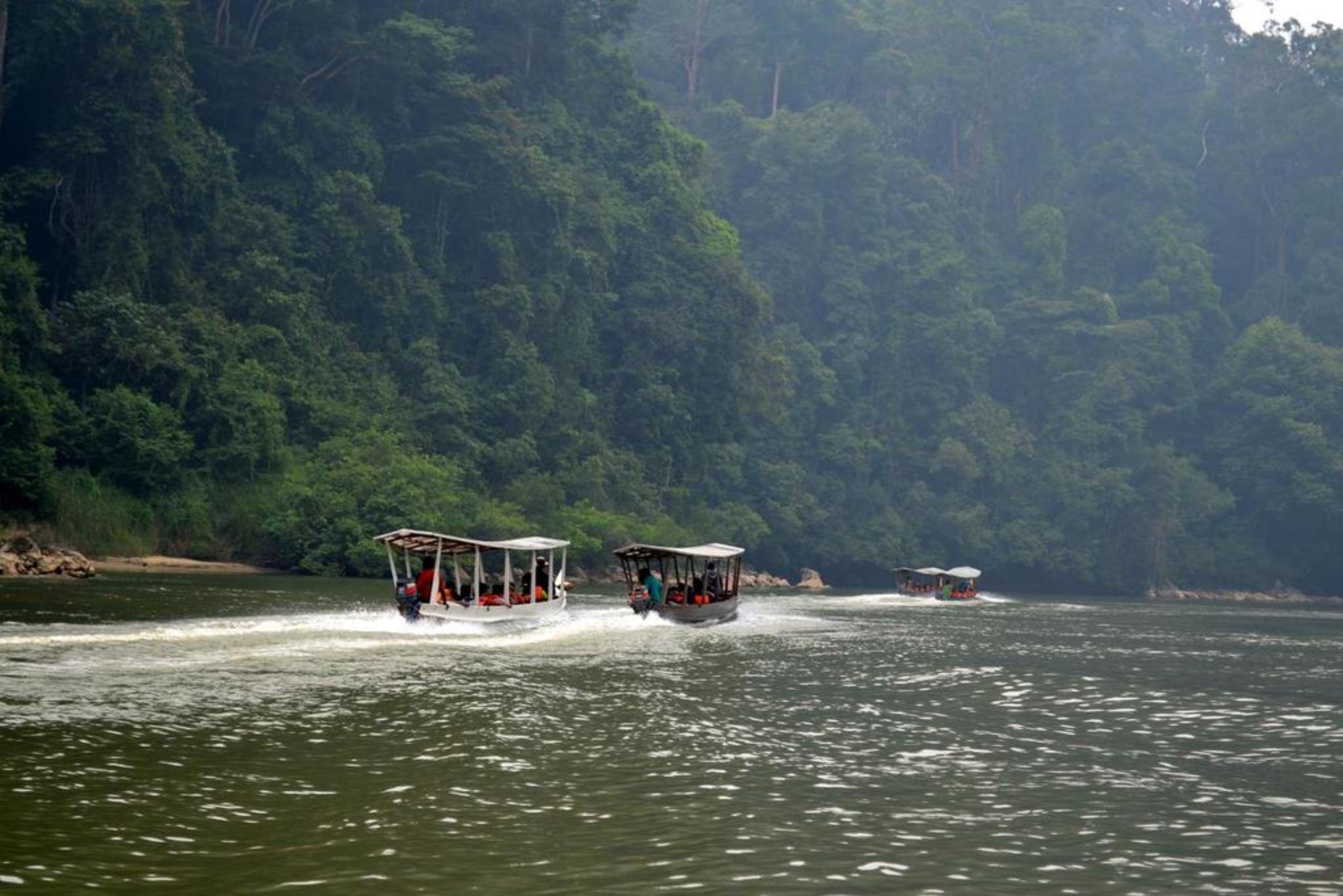 Mutiara Taman Negara Hotell Kuala Tahan Exteriör bild
