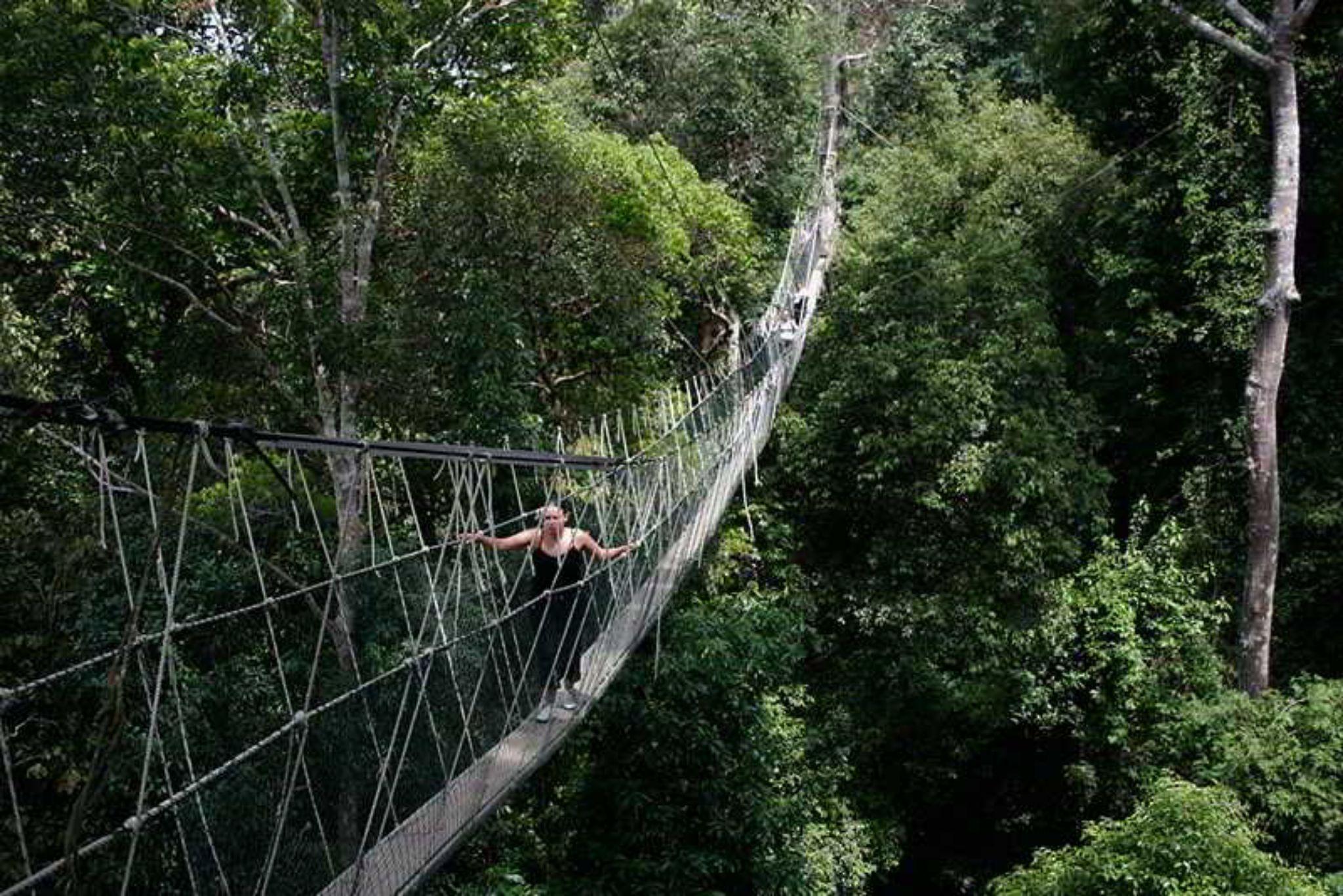 Mutiara Taman Negara Hotell Kuala Tahan Exteriör bild