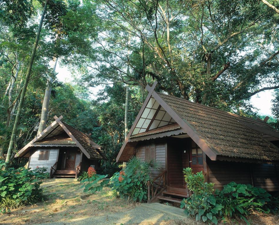 Mutiara Taman Negara Hotell Kuala Tahan Rum bild