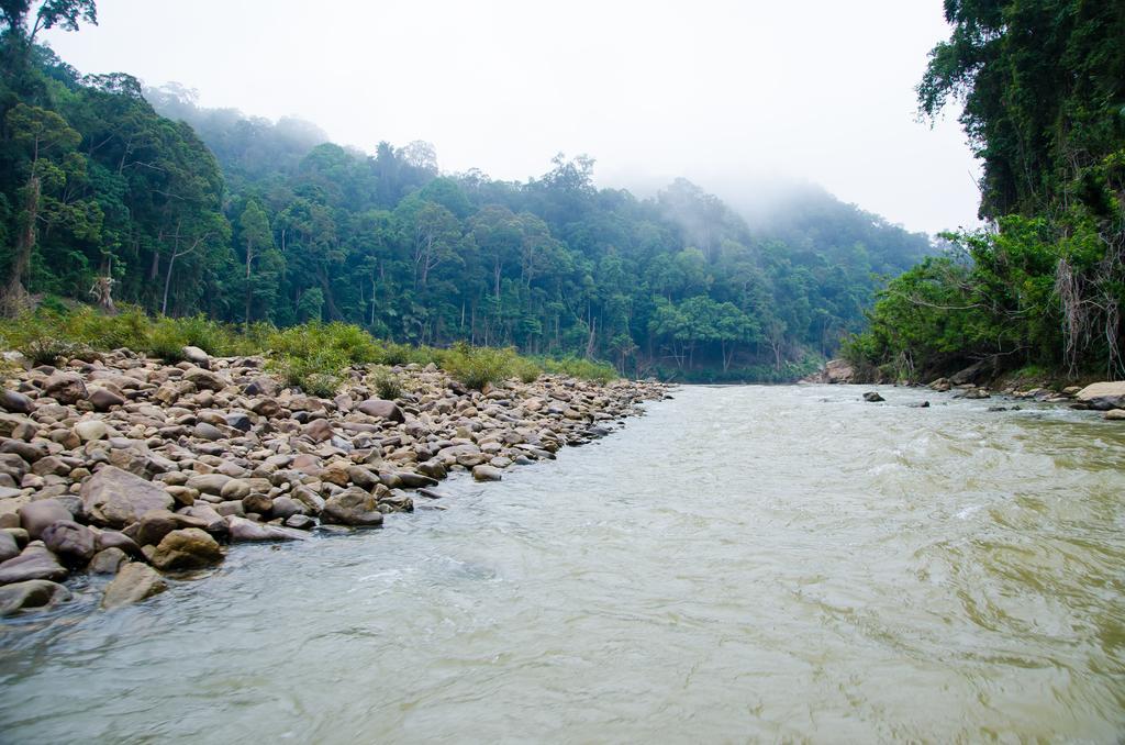 Mutiara Taman Negara Hotell Kuala Tahan Exteriör bild