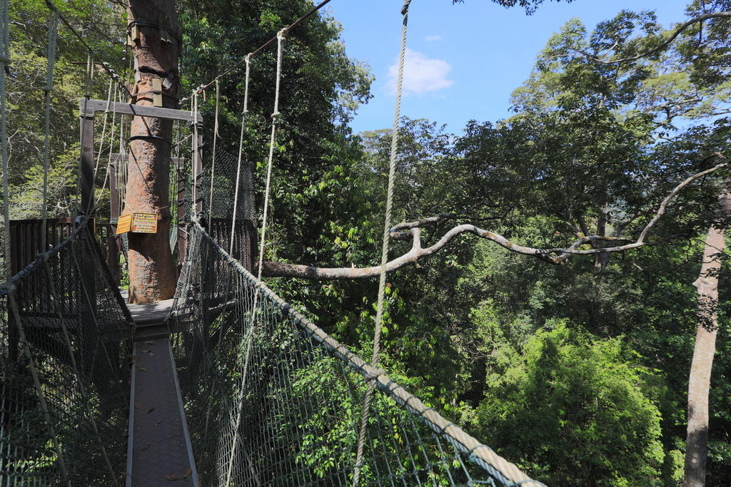 Mutiara Taman Negara Hotell Kuala Tahan Exteriör bild