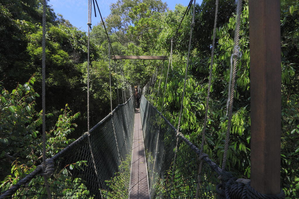 Mutiara Taman Negara Hotell Kuala Tahan Exteriör bild