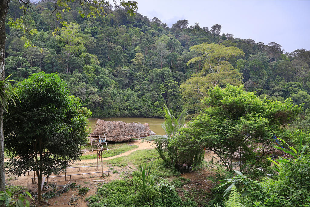 Mutiara Taman Negara Hotell Kuala Tahan Exteriör bild