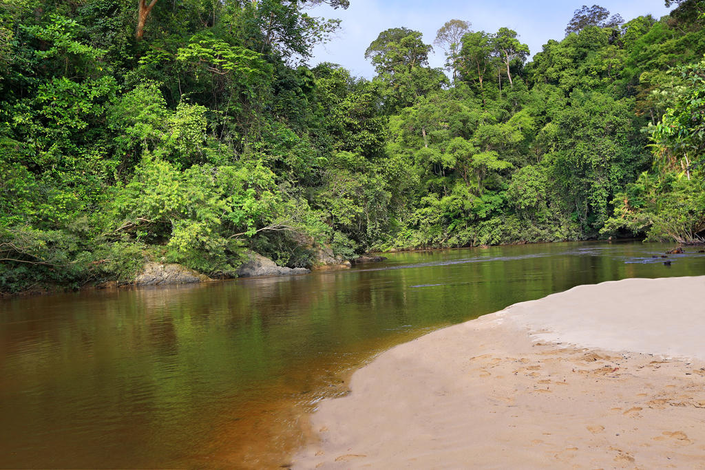 Mutiara Taman Negara Hotell Kuala Tahan Exteriör bild