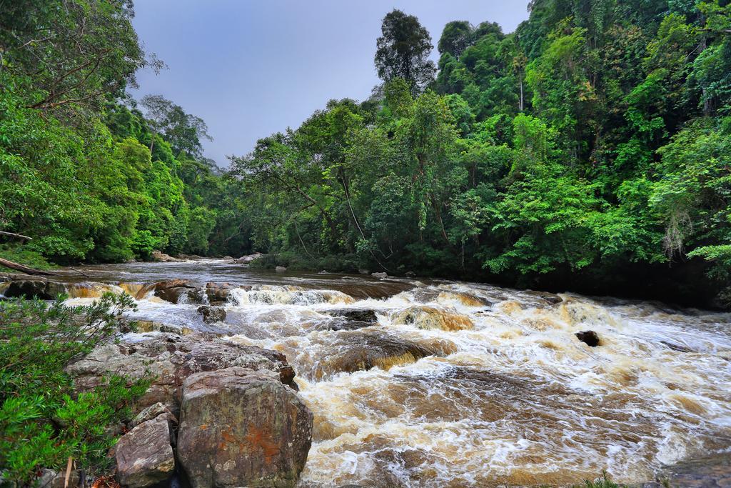 Mutiara Taman Negara Hotell Kuala Tahan Exteriör bild